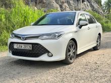 Toyota Axio WXB 2017 Car