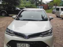 Toyota Axio Wxb 2016 Car