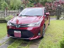 Toyota Axio Wxb 2019 Car