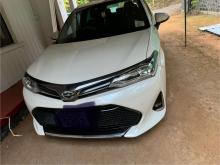 Toyota AXIO WXB 2019 Car