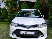 Toyota Axio WXB 2017 Car