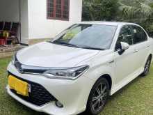 Toyota Axio Wxb 2017 Car