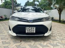 Toyota Axio WXB 2017 Car