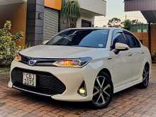 Toyota Axio WXB 2019 Car