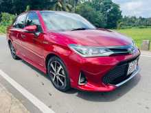 Toyota Axio WXB G Grade 2018 Car