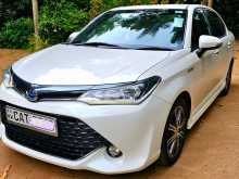 Toyota AXIO WXB G Grade 2016 Car