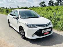 Toyota Axio WXB 2016 Car