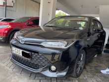 Toyota Axio WXB Anniversary 2016 Car