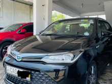 Toyota Axio WXB ANNIVERSARY 2016 Car