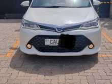 Toyota Axio WXB Anniversary 2016 Car