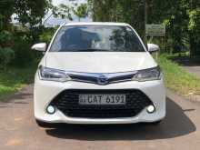 Toyota Axio WXB 2016 Car
