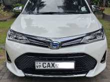 Toyota Axio Wxb 2017 Car
