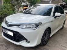 Toyota Axio WXB 2017 Car