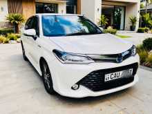 Toyota Axio WXB 2017 Car