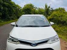 Toyota AXIO WXB 2017 Car