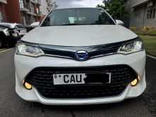 Toyota Axio WXB 2017 Car