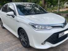 Toyota Axio WXB 2017 Car