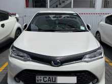 Toyota Axio Wxb 2017 Car