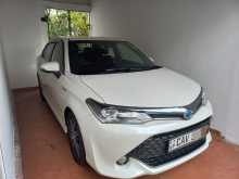 Toyota Axio WXB 2017 Car