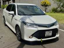 Toyota Axio WXB 2017 Car