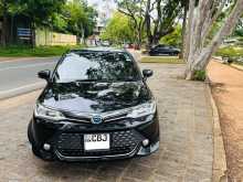 Toyota Axio WXB 2017 Car