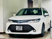 Toyota AXIO WXB 2017 Car