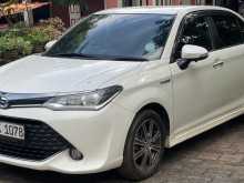 Toyota Axio WXB 2017 Car