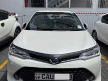 Toyota Axio Wxb 2017 Car