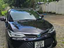 Toyota Axio WXB Fielder 2017 Car