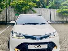 Toyota Axio WXB 2017 Car