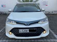 Toyota AXIO WXB 2017 Car