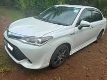 Toyota Axio WxB 2017 Car