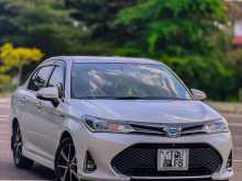 Toyota Axio Wxb 2018 Car