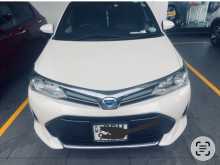 Toyota Axio WXB 2018 Car