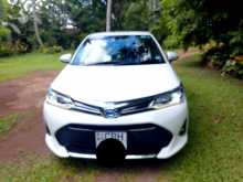 Toyota Axio Wxb 2018 Car