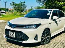 Toyota Axio WXB Safety 2018 Car