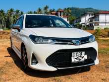 Toyota Axio WXB 2018 Car