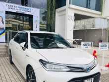 Toyota Axio WXB 2018 Car