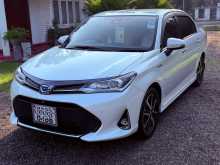 Toyota Axio Wxb 2018 Car