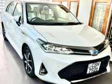 Toyota Axio Wxb 2018 Car