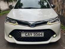 Toyota AXIO WXB 2018 Car