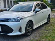 Toyota Axio Wxb 2018 Car