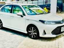 Toyota Axio Wxb 2018 Car