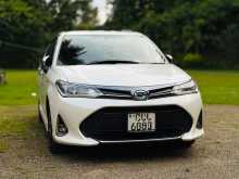 Toyota Axio WXB 2019 Car