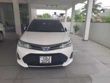 Toyota AXIO WXB 2019 Car