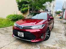 Toyota AXIO WXB 2019 Car
