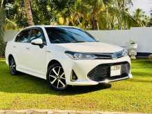 Toyota Axio WXB 2019 Car