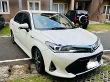 Toyota Axio WXB 2019 Car