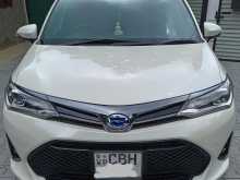 Toyota Axio Wxb 2019 Car