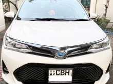 Toyota Axio Wxb 2019 Car